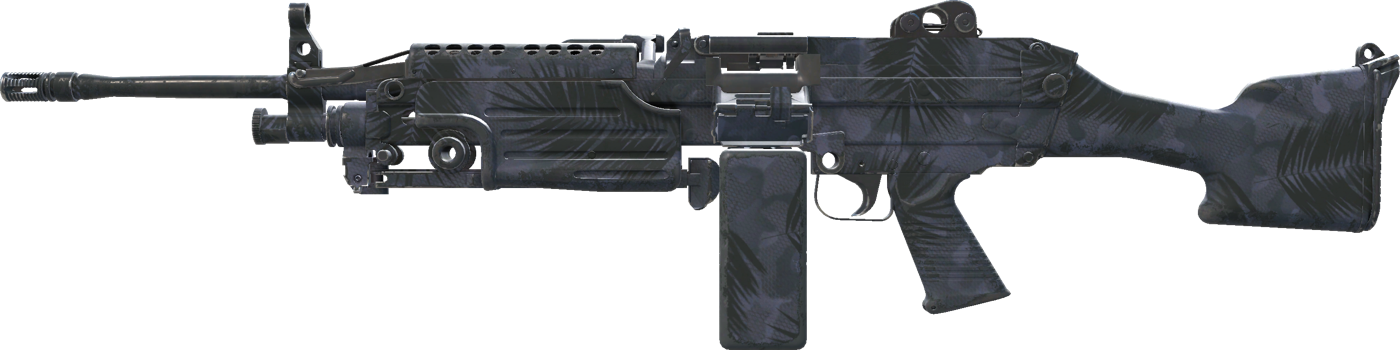M249 | Midnight Palm