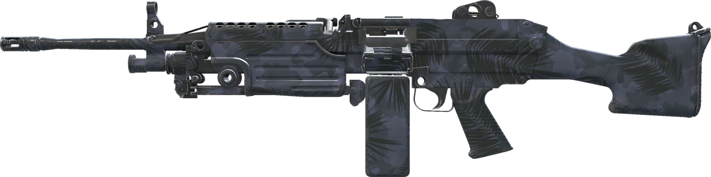 M249 | Midnight Palm
