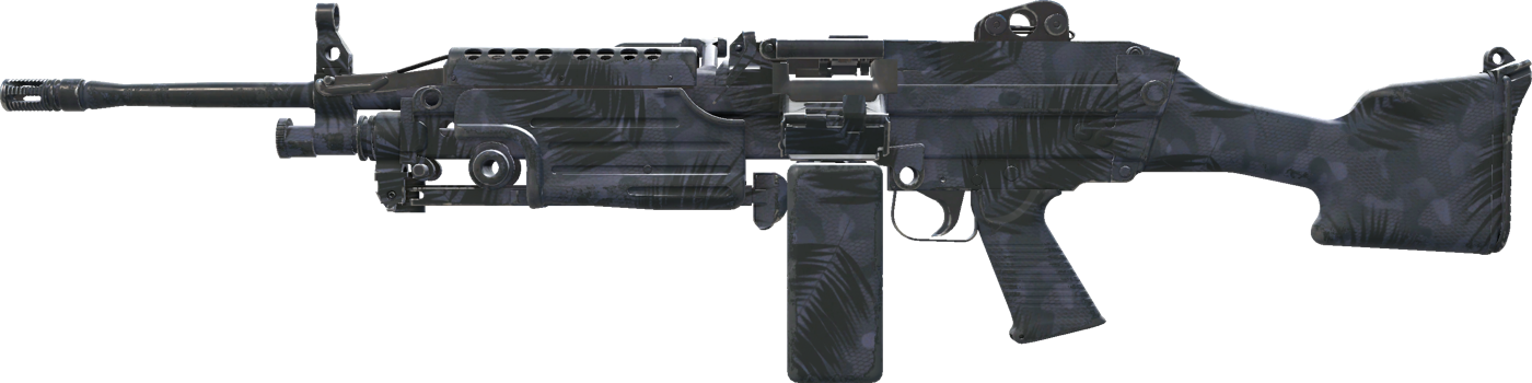 M249 | Midnight Palm